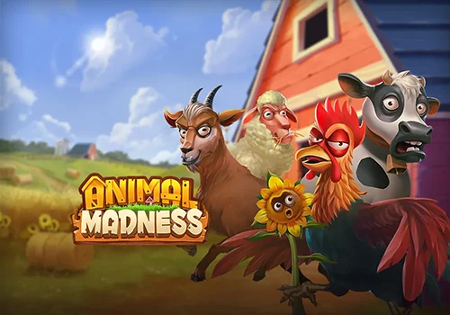Animal Madness